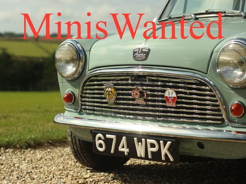 ** MINIS WANTED ---- MINIS WANTED **