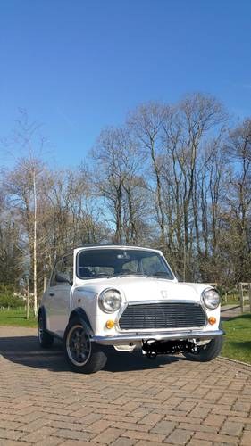 1993 Stunning Automatic white Rover Mini  For Sale