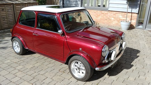 1989 Mini 30  In vendita