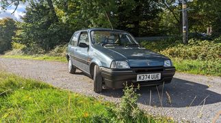 Picture of 1992 Rover Metro S