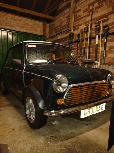 1990 Rover Mini Raceing green For Sale