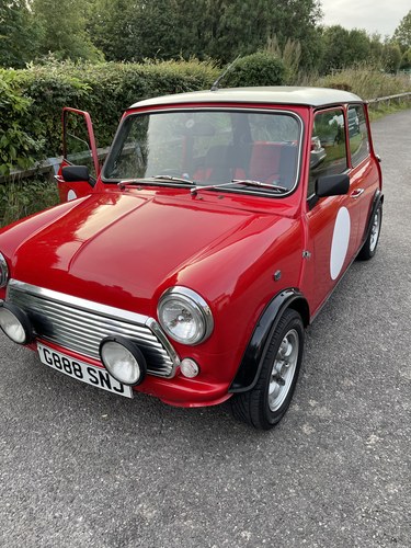 1989 Mini Classic
