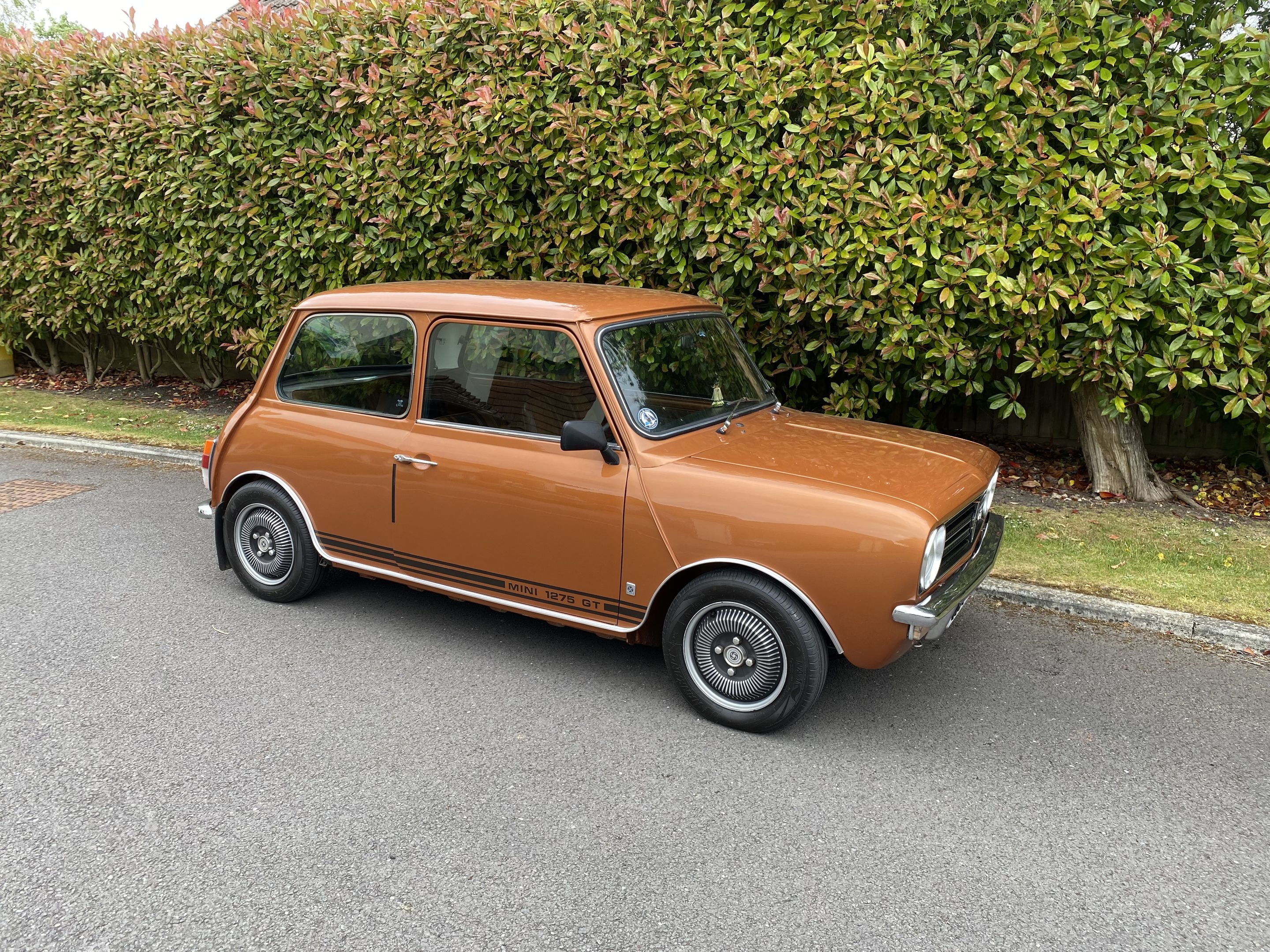1978 Rover Mini