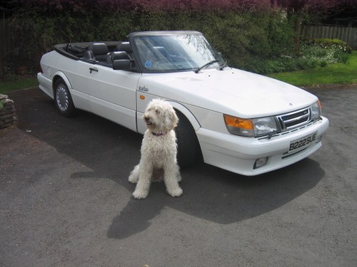 1988 SAAB 900 Turbo 16 Convertible Airflow For Sale