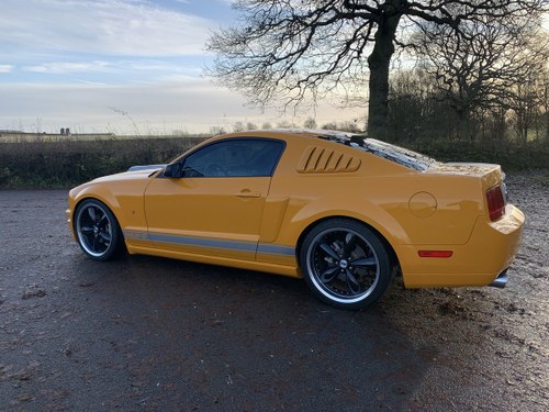 2008 Very Rare Shelby Mustang In vendita