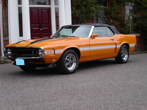 1970 Shelby Mustang Convertible For Sale