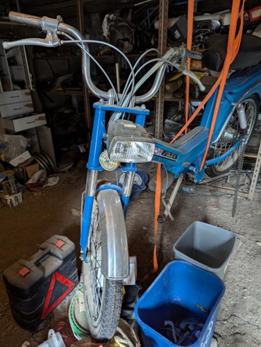 SOLEX Ténor - 1975 Kaufen Bei