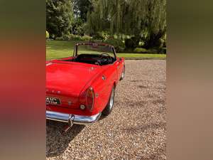 1965 Stunning Sunbeam Tiger Mk1 (260cubic inch). 49,000 miles For Sale (picture 2 of 12)