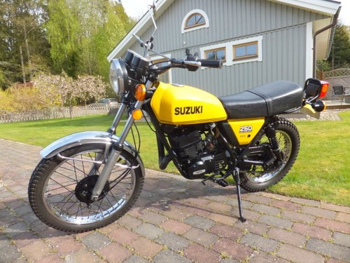 1978 Suzuki TS250 For Sale by Auction