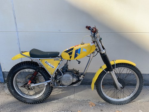 1977 Suzuki RL 250 Beamish last with silver engine For Sale