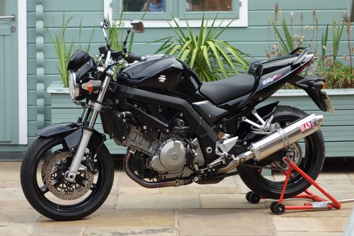 2008 Suzuki Sv1000 Classic. Only 542 Miles! For Sale