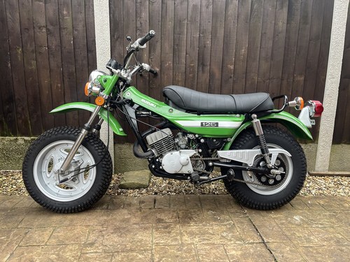1972 Suzuki RV 125 Kaufen Bei