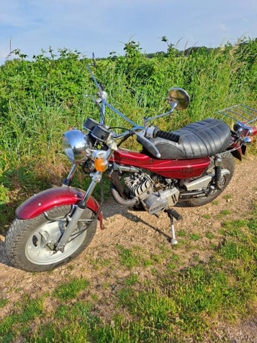 SUZUKI RV 125 VanVan - 1975 A vendre