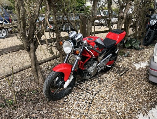 1995 Suzuki goose 350