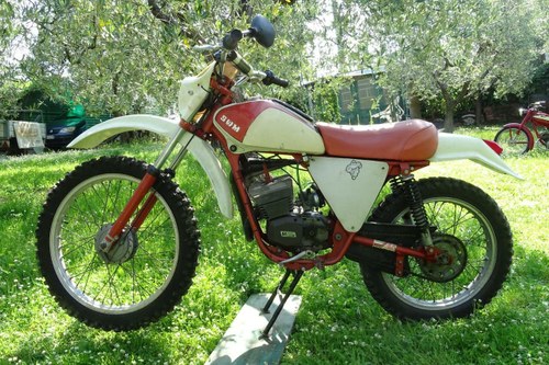 1974 SWM MK 50 RBS RB 50 For Sale