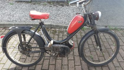 Picture of French Terrot / Lutin Moped