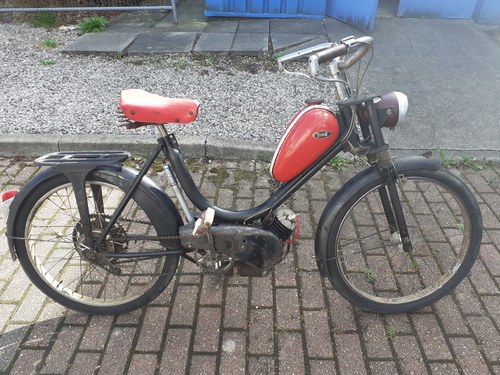 French Terrot / Lutin Moped
