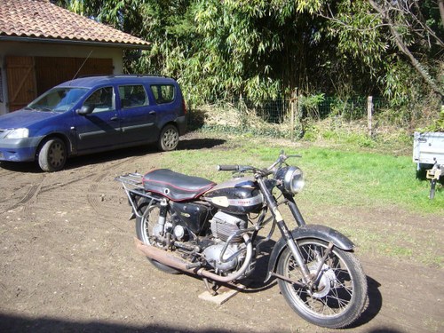 TERROT 250 OSSD - 1954 Kaufen Bei