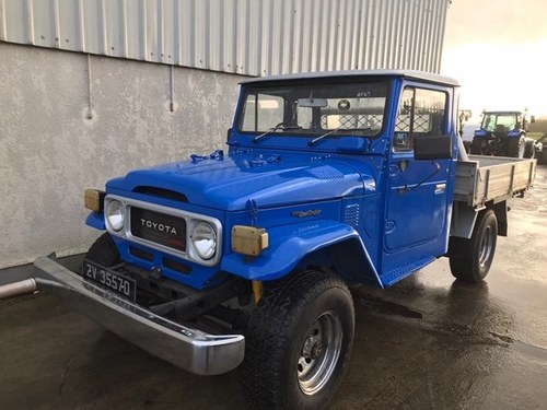1984 Toyota Land Cruiser For Sale by Auction