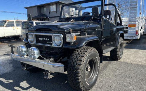 1981 Toyota Land Cruiser (picture 1 of 18)