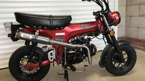 Picture of 2019 Triton Manix ST-125 Limited Edition - For Sale