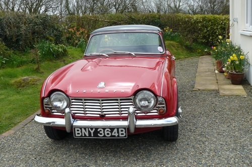 1964 TR4 In vendita