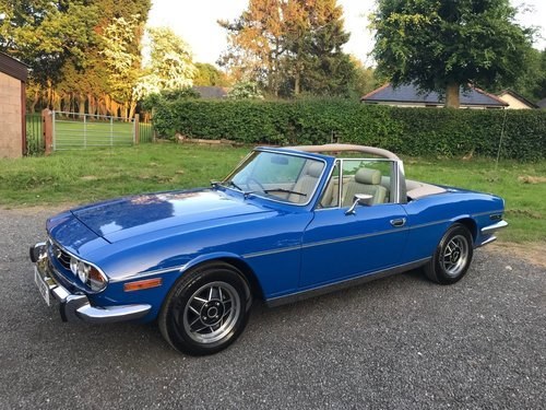 1976 TRUIMPH STAG 3.0 V8 CONVERTIBLE BLUE/CREAM STUNNING! VENDU