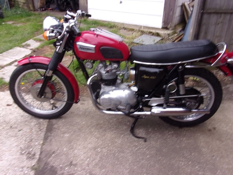 TRIUMPH T100