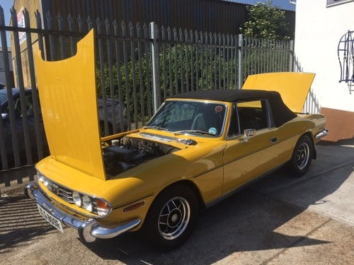 Inca Yellow Triumph Stag.1976. 60,000 miles. In vendita