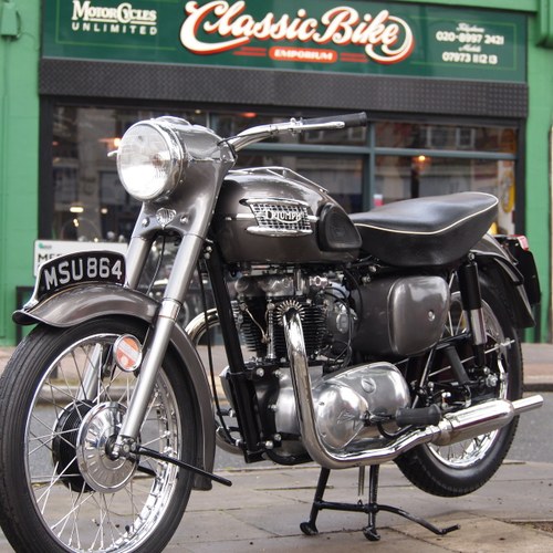 1959 6T 650 Thunderbird, Fully Rebuilt to perfection. VENDUTO