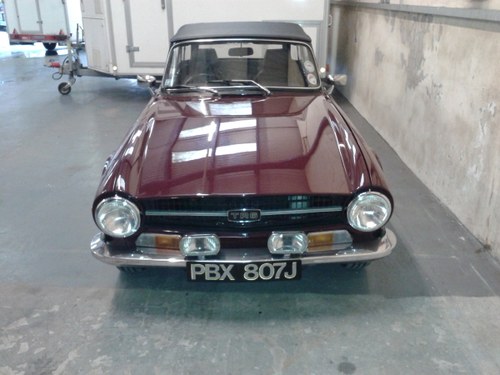 Tr6 For Sale