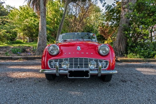 1958 TR3A Most Fun On Wheels! For Sale
