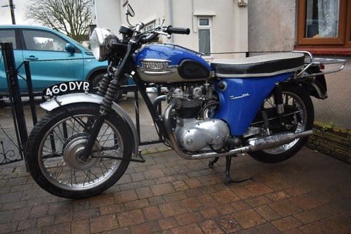 Lot 59 - A 1962 Triumph Tiger T100 SS - 02/2/2020 For Sale by Auction