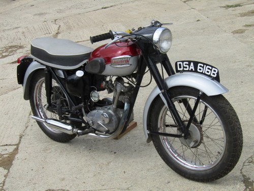 1964 Nice Tiger Cub VENDUTO