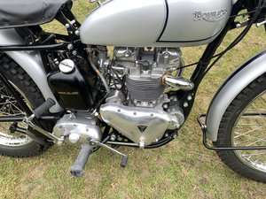1952 TRIUMPH TROPHY TR5 (FAMOUS RIDER) For Sale (picture 5 of 12)