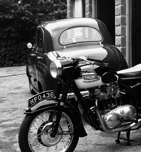 1960 TRIUMPH TIGER T110 METAL BATH TUB For Sale