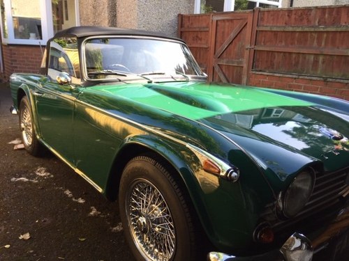 1967 Triumph Sports Cars Wanted For Sale