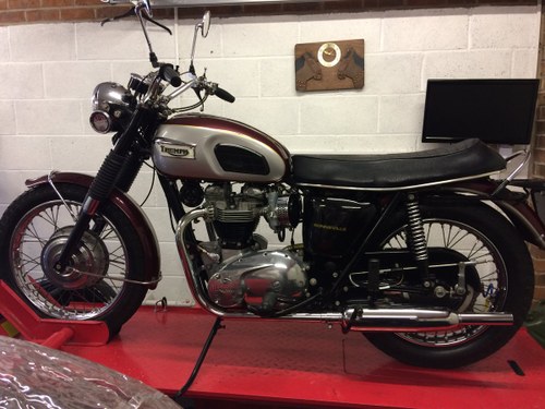 1970 Stunning Bonnie For Sale