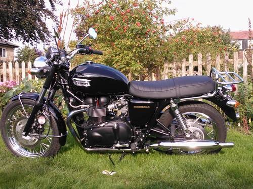 2008 Immaculate Bonnie For Sale