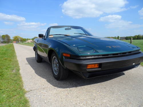 1981 Triumph TR8 '81 VERKAUFT