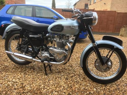 Triumph tiger 100 1955, stunning For Sale