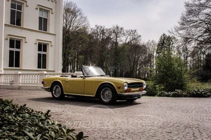 Great TR6 in original Mimosa Yellow