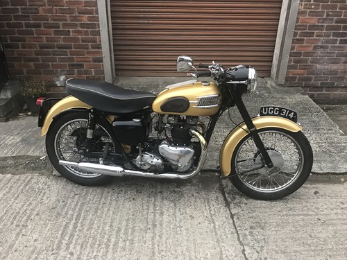 1958 Triumph 6T Thunderbird - SOLD and heading to Japan SOLD