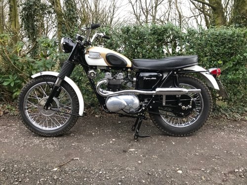 1965 Triumph T100SC Jack Pine Model In vendita