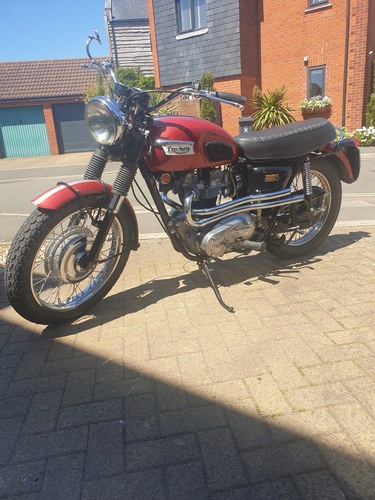 1970 Triumph 650 tr6 trophy A vendre