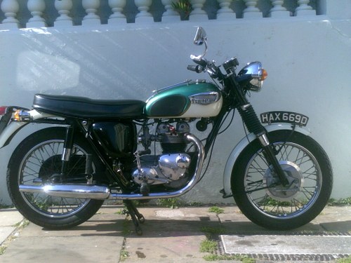 1966 TRIUMPH T100SS VENDUTO