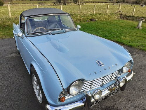 TR4 Powder Blue 1962 Kaufen Bei