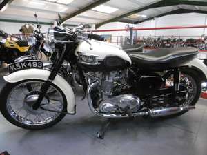 1959 Triumph T100 tiger Full restoration Stunning For Sale (picture 5 of 5)