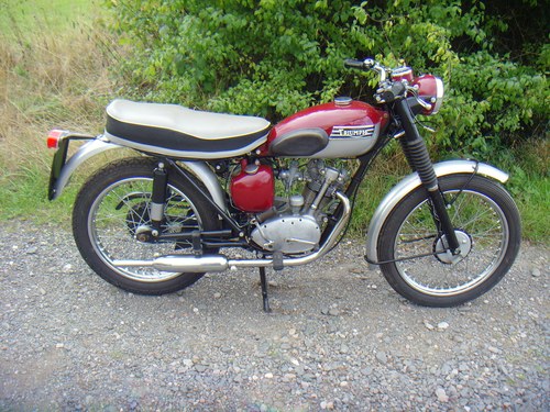 1961 Triumph Tiger Cub Sports T20SH VENDIDO