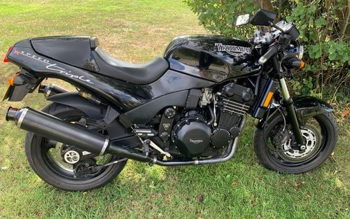 1996 Triumph Speed Triple (picture 1 of 14)